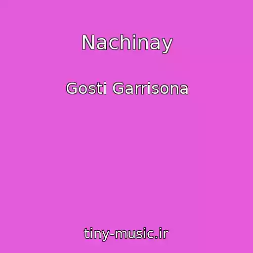 کاور آهنگ Nachinay از Gosti Garrisona