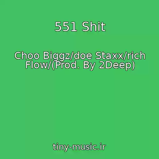کاور آهنگ 551 Shit از Choo Biggz/doe Staxx/rich Flow/(Prod. By 2Deep)