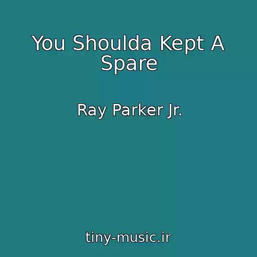 کاور آهنگ You Shoulda Kept A Spare از Ray Parker Jr.