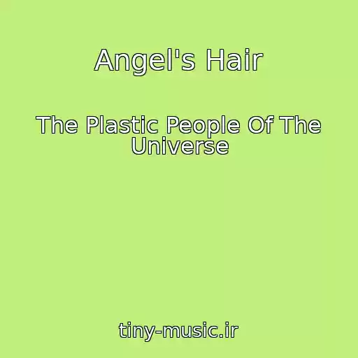 کاور آهنگ Angel's Hair از The Plastic People Of The Universe