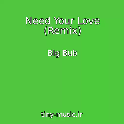 کاور آهنگ Need Your Love (Remix) از Big Bub