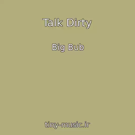 کاور آهنگ Talk Dirty از Big Bub