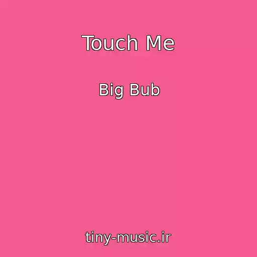 کاور آهنگ Touch Me از Big Bub