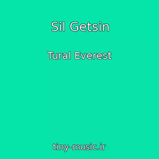 کاور آهنگ Sil Getsin از Tural Everest