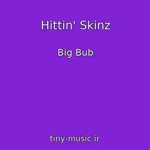 کاور آهنگ Hittin' Skinz از Big Bub