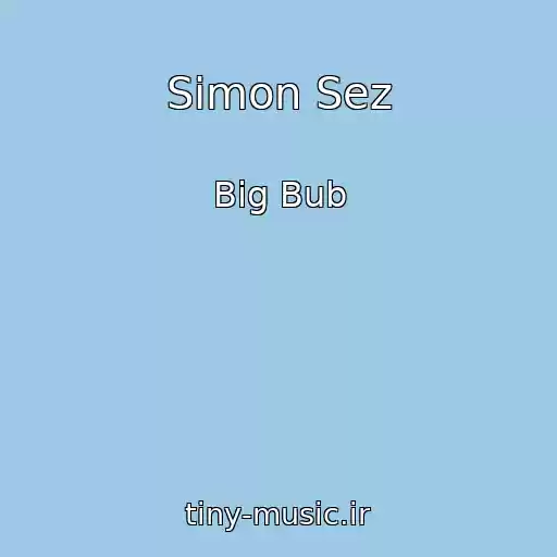 کاور آهنگ Simon Sez از Big Bub