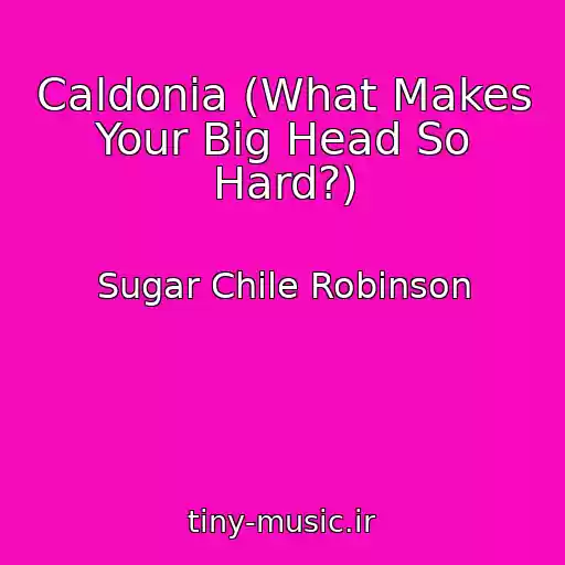 کاور آهنگ Caldonia (What Makes Your Big Head So Hard?) از Sugar Chile Robinson