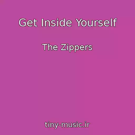کاور آهنگ Get Inside Yourself از The Zippers