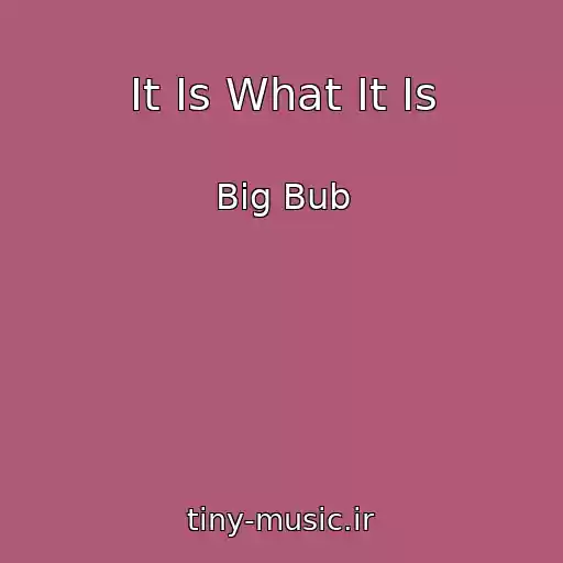 کاور آهنگ It Is What It Is از Big Bub