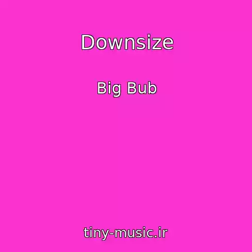 کاور آهنگ Downsize از Big Bub