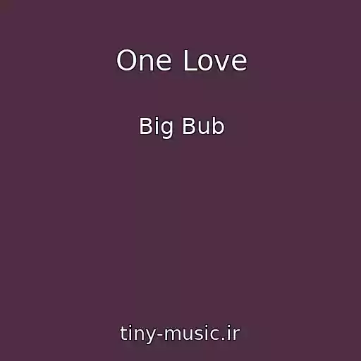 کاور آهنگ One Love از Big Bub