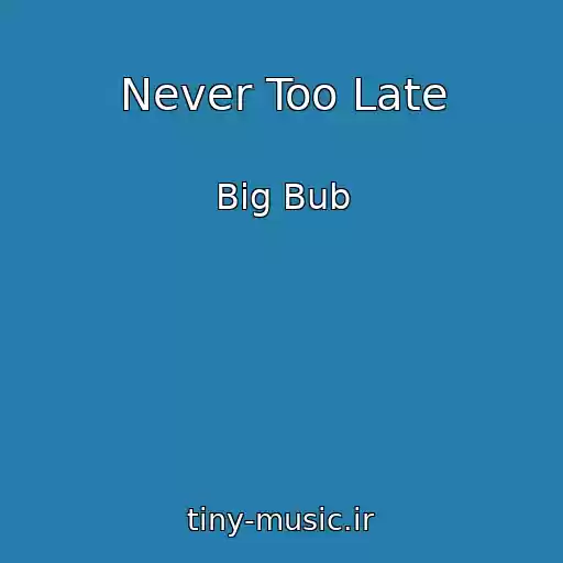 کاور آهنگ Never Too Late از Big Bub