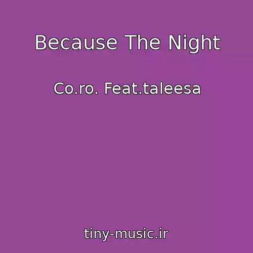 کاور آهنگ Because The Night از Co.ro. Feat.taleesa