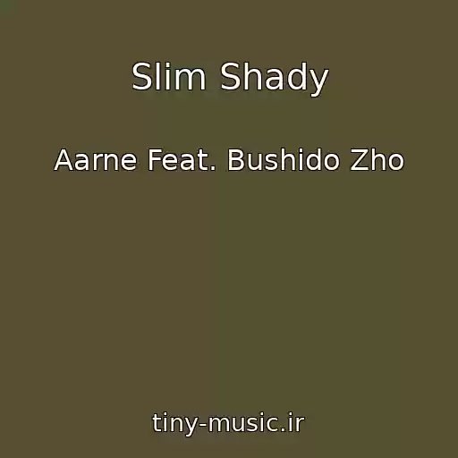 کاور آهنگ Slim Shady از Aarne Feat. Bushido Zho