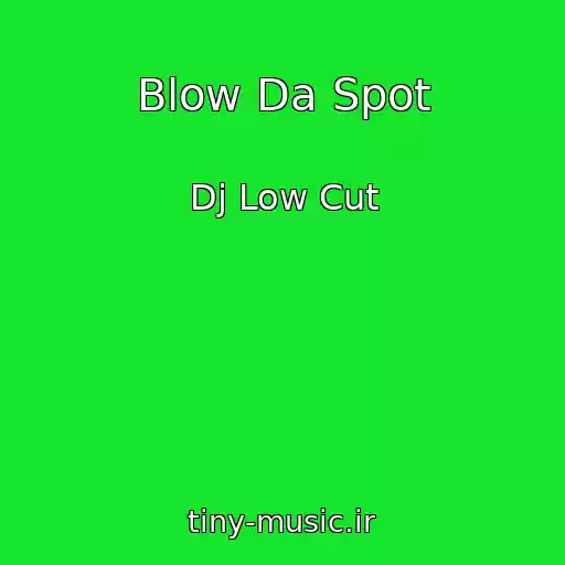کاور آهنگ Blow Da Spot از Dj Low Cut