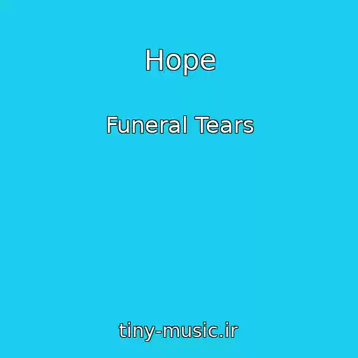 کاور آهنگ Hope از Funeral Tears
