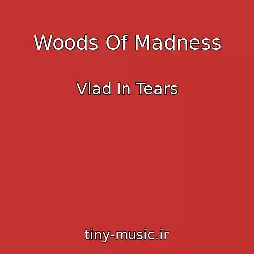 کاور آهنگ Woods Of Madness از Vlad In Tears