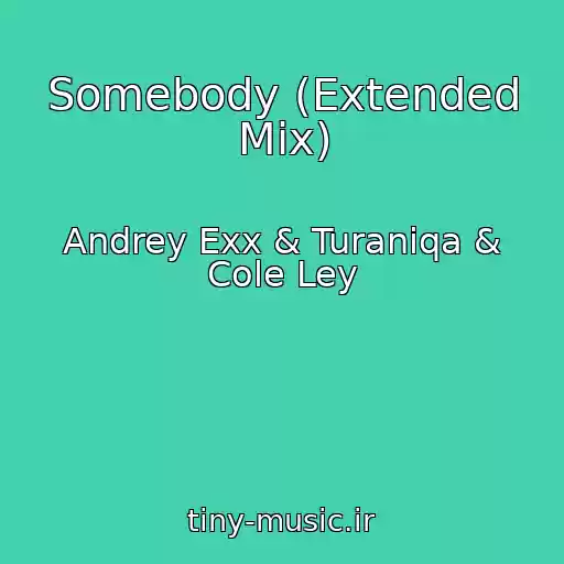 کاور آهنگ Somebody (Extended Mix) از Andrey Exx & Turaniqa & Cole Ley