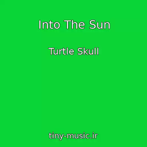 کاور آهنگ Into The Sun از Turtle Skull
