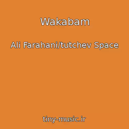 کاور آهنگ Wakabam از Ali Farahani/tutchev Space