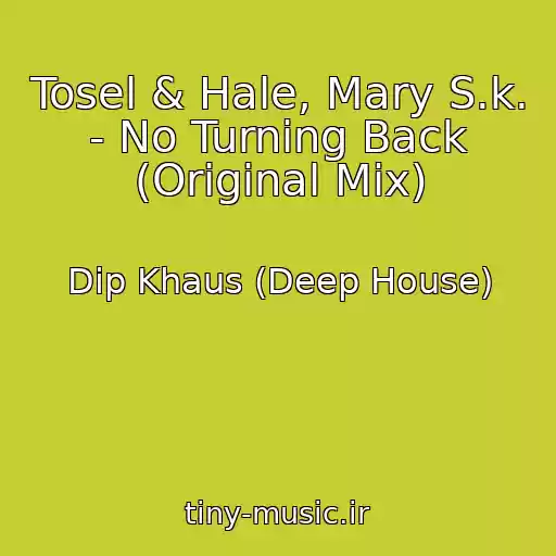 کاور آهنگ Tosel & Hale, Mary S.k. - No Turning Back (Original Mix) از Dip Khaus (Deep House)