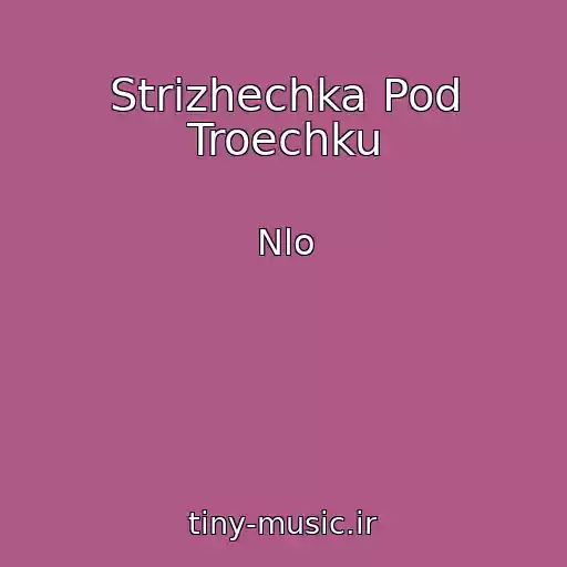 کاور آهنگ Strizhechka Pod Troechku از Nlo