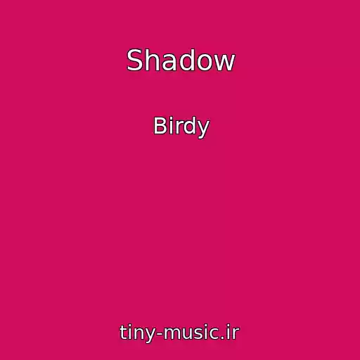 کاور آهنگ Shadow از Birdy