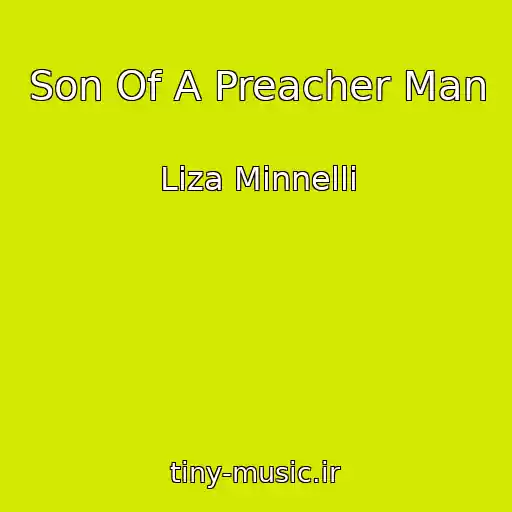 کاور آهنگ Son Of A Preacher Man از Liza Minnelli