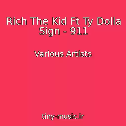 کاور آهنگ Rich The Kid Ft Ty Dolla Sign - 911 از Various Artists