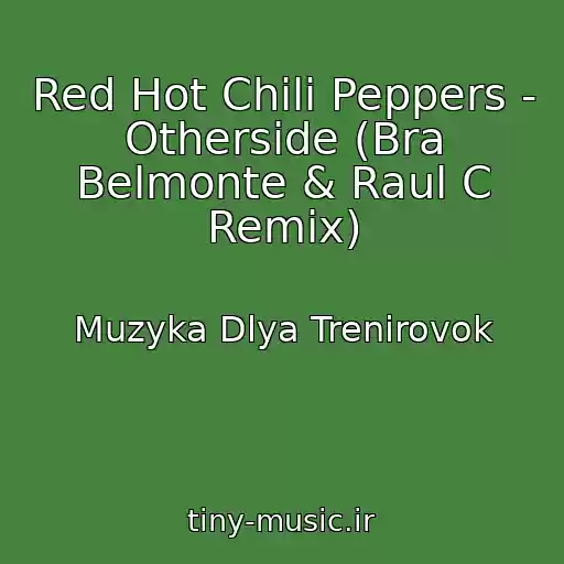 کاور آهنگ Red Hot Chili Peppers - Otherside (Bra Belmonte & Raul C Remix) از Muzyka Dlya Trenirovok