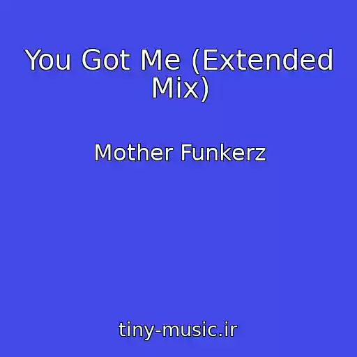 کاور آهنگ You Got Me (Extended Mix) از Mother Funkerz