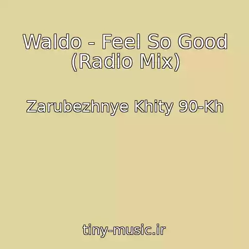 کاور آهنگ Waldo - Feel So Good (Radio Mix) از Zarubezhnye Khity 90-Kh