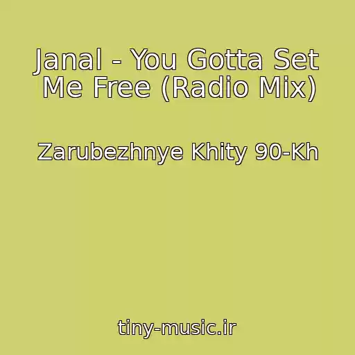 کاور آهنگ Janal - You Gotta Set Me Free (Radio Mix) از Zarubezhnye Khity 90-Kh