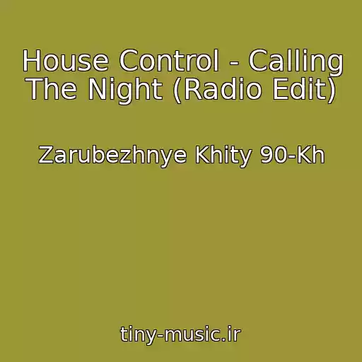 کاور آهنگ House Control - Calling The Night (Radio Edit) از Zarubezhnye Khity 90-Kh