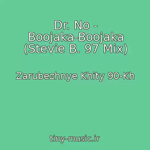 کاور آهنگ Dr. No - Boojaka-Boojaka (Stevie B. 97 Mix) از Zarubezhnye Khity 90-Kh
