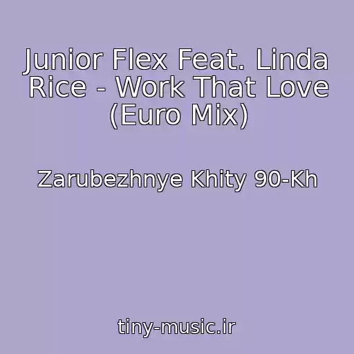 کاور آهنگ Junior Flex Feat. Linda Rice - Work That Love (Euro Mix) از Zarubezhnye Khity 90-Kh
