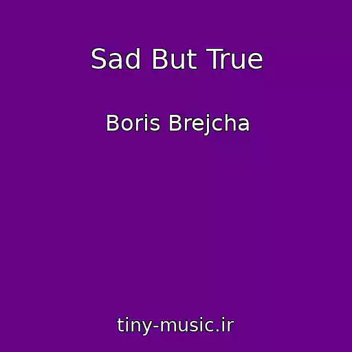 کاور آهنگ Sad But True از Boris Brejcha