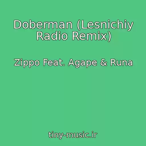 کاور آهنگ Doberman (Lesnichiy Radio Remix) از Zippo Feat. Agape & Runa