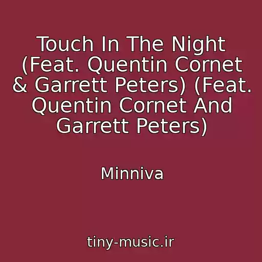 کاور آهنگ Touch In The Night (Feat. Quentin Cornet & Garrett Peters) (Feat. Quentin Cornet And Garrett Peters) از Minniva