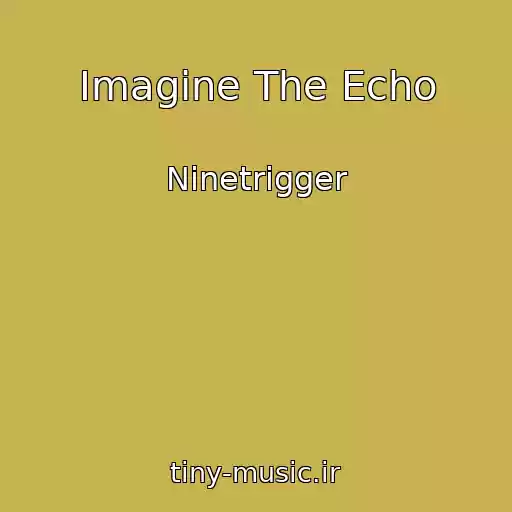 کاور آهنگ Imagine The Echo از Ninetrigger