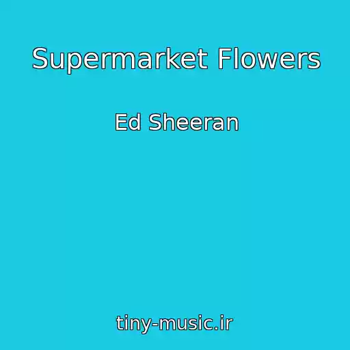کاور آهنگ Supermarket Flowers از Ed Sheeran