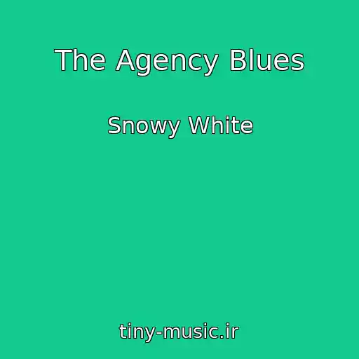 کاور آهنگ The Agency Blues از Snowy White