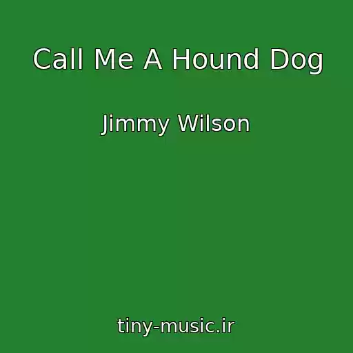 کاور آهنگ Call Me A Hound Dog از Jimmy Wilson