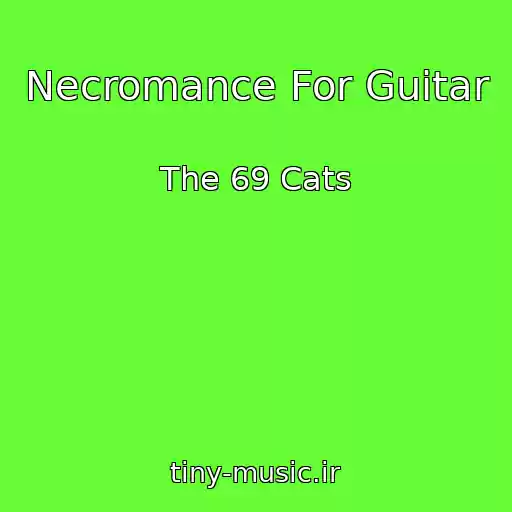 کاور آهنگ Necromance For Guitar از The 69 Cats