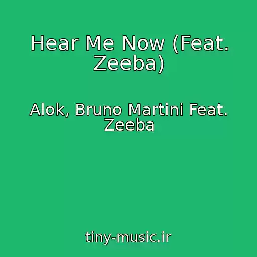 کاور آهنگ Hear Me Now (Feat. Zeeba) از Alok, Bruno Martini Feat. Zeeba