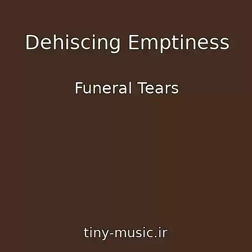 کاور آهنگ Dehiscing Emptiness از Funeral Tears