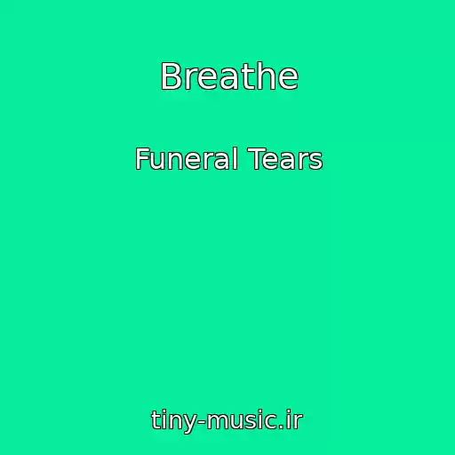 کاور آهنگ Breathe از Funeral Tears