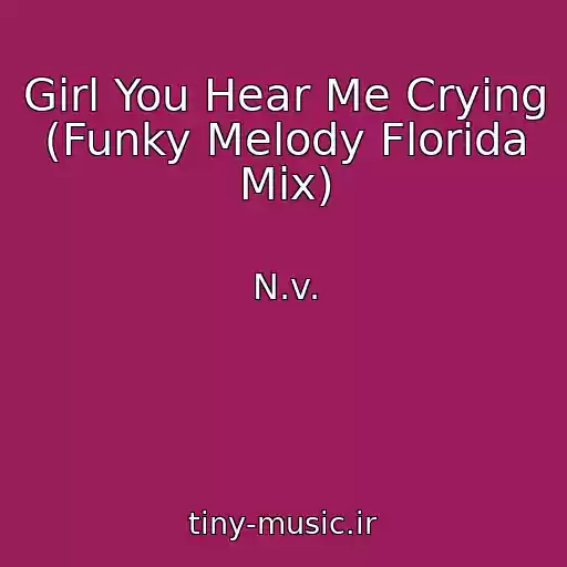 کاور آهنگ Girl You Hear Me Crying (Funky Melody Florida Mix) از N.v.