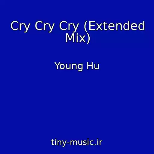 کاور آهنگ Cry Cry Cry (Extended Mix) از Young Hu