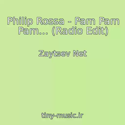 کاور آهنگ Philip Rossa - Pam Pam Pam... (Radio Edit) از Zaytsev Net
